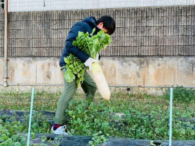 畑しごとのイメージ