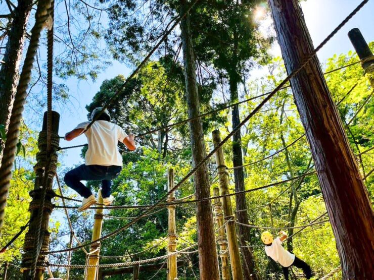 自然あそびのイメージ